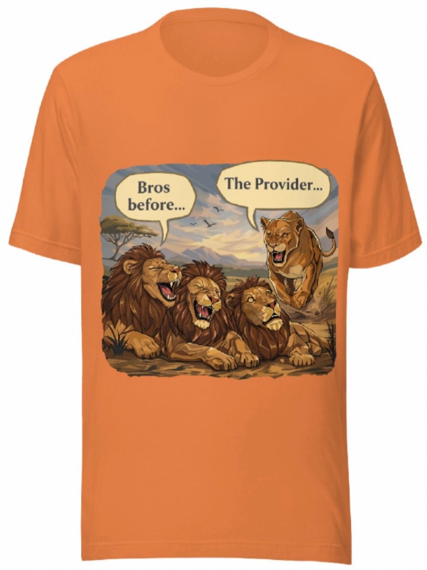 Bros Before… The Provider!